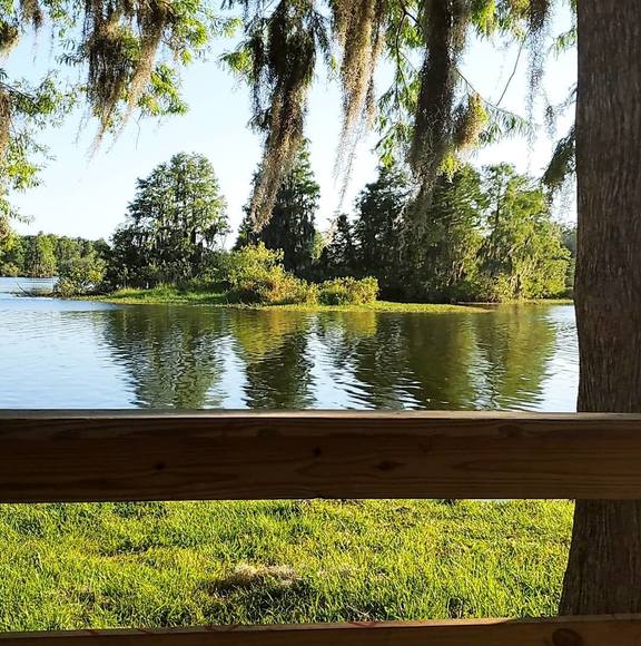 Meet your Posher, Johnnie - Picture 1 of 1